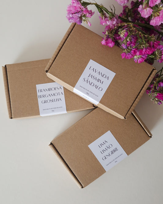 WAX MELTS - FRAMBOESA, BERGAMOTA & GROSELHA