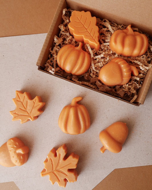 WAX MELTS - EDIÇÃO OUTONO