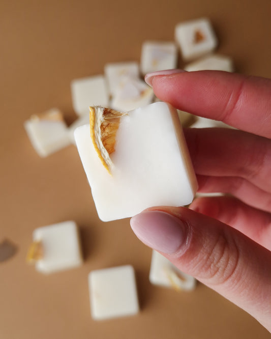 WAX MELTS - LIMA, LIMÃO & GENGIBRE