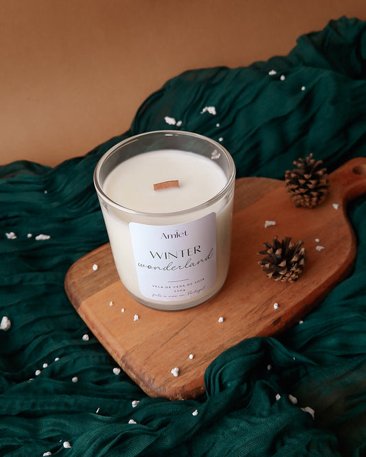 VELA WINTER WONDERLAND