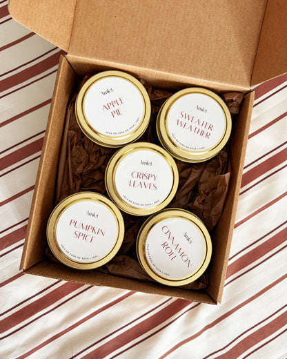 FALL MARKET DISCOVERY SET 1