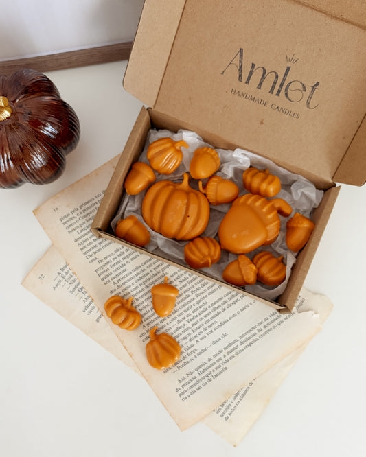 WAX MELTS - PUMPKIN PATCH